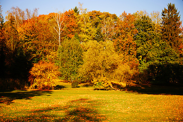 포토 JPG 해외이미지 나무 계절 공원 유럽 길 호수 여행 백그라운드 잎 골프 오렌지 자연 휴가 파노라마 사람없음 야외 목재 빨간색 초록색 물 컬러풀 뷰티 반사 노란색 환경 황금 숲 강의 장면 체코 프라하 내추럴 해외포토 자연요소 식물 공공시설 나라 컬러 과일 재료 촬영기법 구기 생태계 파일형식 이미지허브