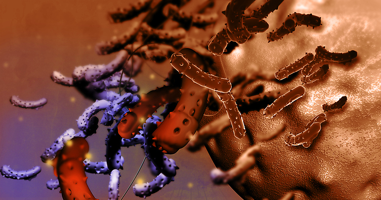 포토 JPG 해외이미지 의학 세포 사람없음 갈색 3D 주황색 질병 디지털합성 암 종양 해외포토 컬러 파일형식 이미지허브