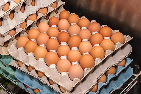 포토 JPG 해외이미지 동물 종이 음식 백그라운드 재료 쟁반 건강 사람없음 농장 쌓기 계란 치킨 흰색 그룹 시장 보호 컨테이너 유기농 날것 패키지 많음 해외포토 웰빙 산업 컬러 컨셉 농업 모션 알 닭고기요리 파일형식 이미지허브