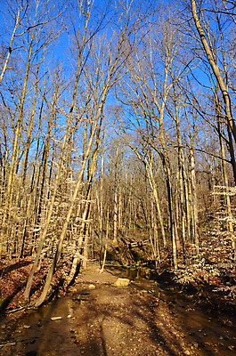 포토 JPG 해외이미지 나무 계절 공원 도로 길 백그라운드 단풍 잎 오렌지 자연 벽지 풍경 사람없음 야외 빨간색 빛 컬러풀 햇빛 뷰티 노란색 환경 맑음 가을 황금 숲 오솔길 10월 내추럴 해외포토 식물 공공시설 컬러 과일 교통시설 날씨 태양 날짜 생태계 파일형식 이미지허브