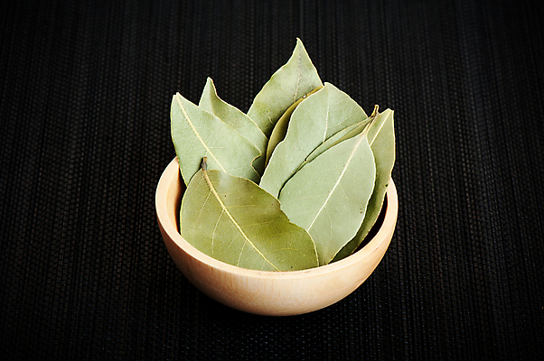 포토 JPG 해외이미지 음식 잎 채소 재료 자연 건조 건강 요리 사람없음 만 양념 맛 허브 향신료 오브젝트 유기농 아로마 레시피 아로마테라피 흙더미 해외포토 식물 웰빙 컨셉 흙 생태계 테라피 향미료 파일형식 더미 이미지허브