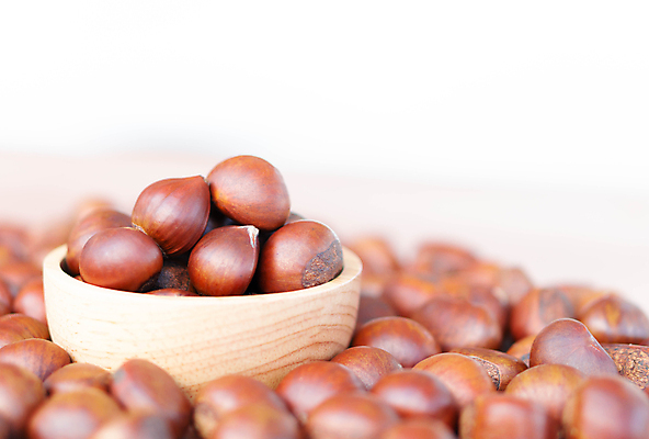 포토 JPG 해외이미지 식물 계절 음식 백그라운드 과일 재료 자연 건강 씨앗 사람없음 목재 갈색 우주 견과류 수확 껍질 흰색 신선 사발 달콤 맛 정상 굽기 유기농 날것 흙더미 내추럴 고립 식용 채식주의자 해외포토 나무 웰빙 컬러 컨셉 농업 흙 사기그릇 구이 생태계 채식 파일형식 더미 이미지허브