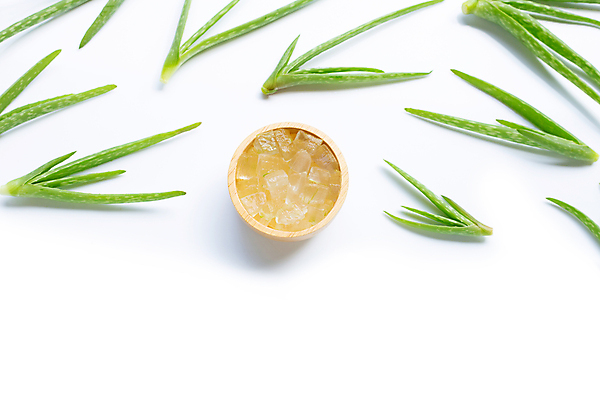 포토 JPG 해외이미지 스튜디오촬영 실내 사람없음 하이앵글 뷰티 흰배경 나무그릇 알로에 해외포토 식물 그릇 뷰포인트 백그라운드 내부 목재 흰색 파일형식 이미지허브