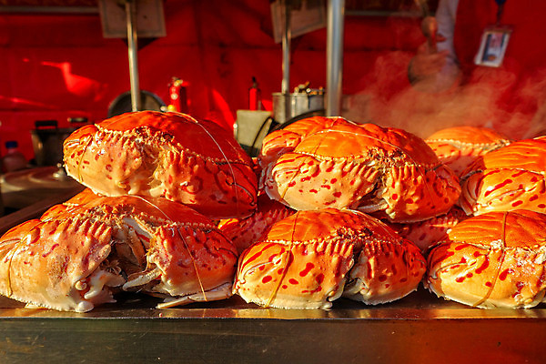 포토 JPG 해외이미지 전통 아시아 음식 여행 곤충 디저트 불가사리 새우 거리 요리 사람 동양인 사람없음 세일 여행객 상점 식사 중국 튀김 도시 뱀 막대기 꼬치 시장 맛 그릴 야간 전갈 해산물 베이징 동쪽 이국적 해외포토 자연요소 동물 나라 컨셉 절지류 파충류 주방용품 극피동물 갑각류 인종 방향 파일형식 이미지허브