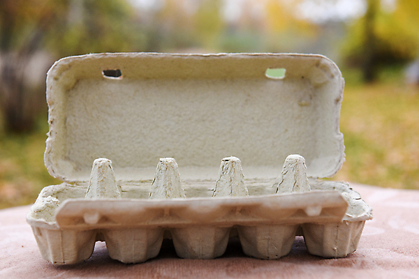 포토 JPG 해외이미지 디자인 계절 종이 음식 패턴 농업 자연 조류 휴가 부활절 쟁반 건강 병아리 요리 사람없음 상자 갈색 바구니 계란 식사 치킨 봄 껍질 흰색 시골 신선 그룹 아침식사 상품 작음 먹기 유기농 질감 날것 팩 패키지 내추럴 판지 단백질 항생제 해외포토 동물 웰빙 기념일 산업 컬러 무늬 모션 약 알 화장품 크기 생태계 닭고기요리 영양소 파일형식 이미지허브