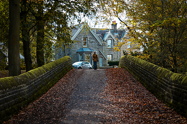 포토 JPG 해외이미지 나무 영어 계절 여자 야생동물 포즈 백그라운드 겨울 자국 자연 날씨 영국 잉글랜드 한명 사람 야외 목재 초록색 강 갈색 평화 걷기 환경 봄 흐름 시골 신선 개울 황무지 급류 숲 요크셔테리어 수로 지구온난화 삼림지대 해외포토 식물 동물 문자 1 유럽 컬러 컨셉 재료 모션 테리어 생태계 기후변화 파일형식 이미지허브