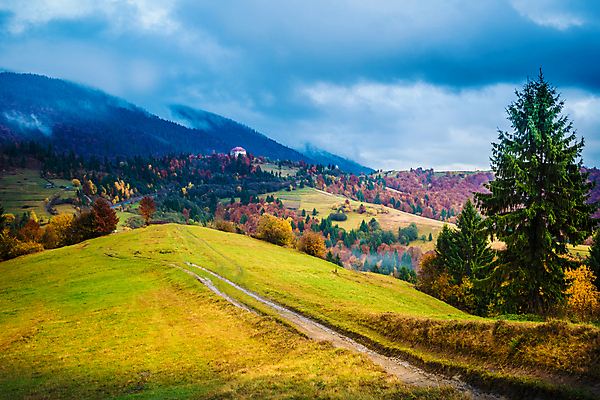 포토 JPG 해외이미지 나무 식물 계절 도로 길 자연 벽지 하늘 산 파노라마 풍경 사람없음 야외 초록색 파란색 컬러풀 노란색 마을 환경 계곡 안개 가을 시골 소나무 언덕 전나무 산악지대 해외포토 컬러 교통시설 날씨 촬영기법 생태계 파일형식 이미지허브