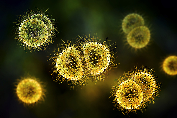 JPG 해외이미지 모양 모델 과학 2 일러스트 표면 건강 사람없음 약 3D 원형 확대 질병 오브젝트 생물학 미생물 박테리아 백신 해로움 해외일러스트 도형 교육 컨셉 의학 생물 디지털합성 파일형식 이미지허브