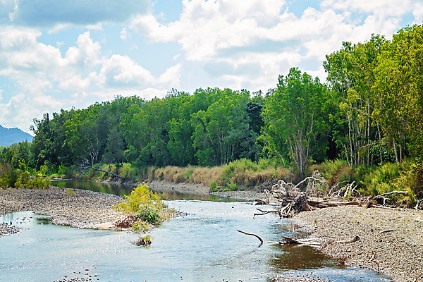 포토 JPG 해외이미지 나무 식물 구름 계절 공원 모래 섬 백그라운드 겨울 하늘 산 풍경 잔디 사람없음 야외 초록색 물 여름 모래사장 반사 평화 환경 침묵 봄 흐름 가을 바위 나뭇가지 시골 죽음 개울 숲 수로 장면 생태학 수목 잔물결 전경 해외포토 자연요소 공공시설 교육 물결 바다 컬러 컨셉 강 소리 돌_바위 파일형식 탑뷰 이미지허브