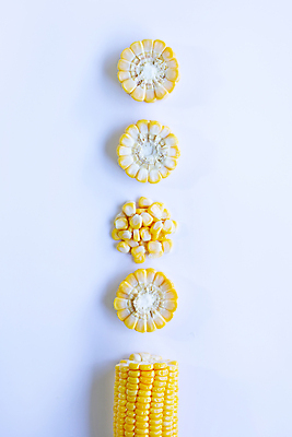 포토 JPG 해외이미지 단면 실내 옥수수 사람없음 흰배경 일렬 해외포토 백그라운드 곡류 내부 흰색 파일형식 이미지허브