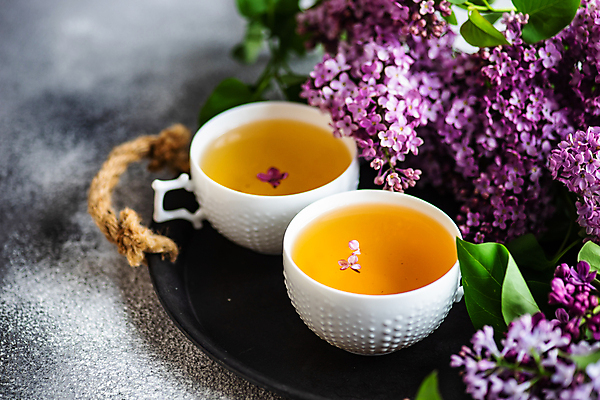 포토 JPG 해외이미지 잎 회색배경 쟁반 사람없음 찻잔 라일락 해외포토 식물 꽃 백그라운드 잔 회색 파일형식 이미지허브