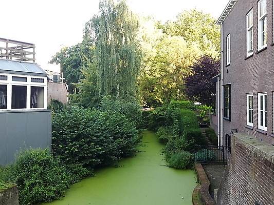 포토 JPG 해외이미지 음식 농업 비즈니스 건축양식 사람 사람없음 건물 반사 자전거 도시 시장 모서리 냄비 네덜란드 대학교 정사각형 광장 미로 시청 지도책 포럼 해외포토 도형 건축물 건축 유럽 산업 학교 책 바이크 솥 토론 관공서 파일형식 이미지허브