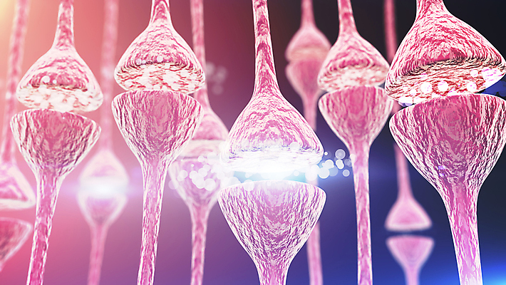 포토 JPG 해외이미지 과학 백그라운드 일러스트 해부 생물 세포 사람 사람없음 빨간색 빛 3D 흰색 네트워크 감각 연결 불안 뇌 만족 관절 생물학 신호 전염 시스템 동맥 정맥 지능 특별함 해외일러스트 교육 감정 컬러 컨셉 의학 뼈 질병 디지털합성 감염 혈관 파일형식 이미지허브