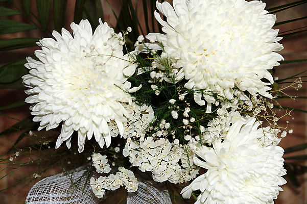 포토 JPG 해외이미지 식물 라이프스타일 꽃잎 꽃 꽃다발 백그라운드 꽃무늬 자연 휴가 국화 선물 사람없음 장식 초록색 빛 공백 벚꽃 흰색 개화 배열 주말 내추럴 카피스페이스 해외포토 컬러 무늬 생활 생태계 파일형식 이미지허브