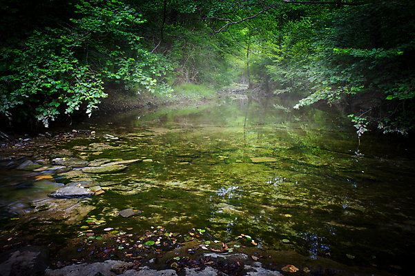 포토 JPG 해외이미지 나무 공원 잎 모션 자연 휴식 국립공원 사람없음 야외 목재 초록색 물 강 햇빛 반사 평화 환경 침묵 놀람 봄 젖음 흐름 안개 신선 개울 스페인 숲 즐거움 장면 내추럴 뿌연 삼림지대 해외포토 자연요소 식물 계절 공공시설 감정 유럽 컬러 컨셉 재료 날씨 표정 태양 소리 생태계 파일형식 이미지허브