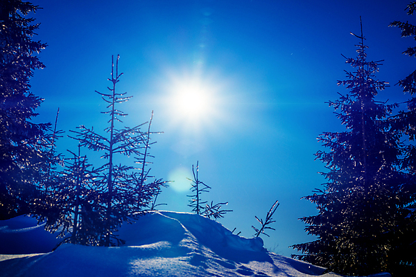 포토 JPG 해외이미지 나무 계절 별 과학 백그라운드 겨울 자연 하늘 스키 불꽃 휴식 산 풍경 사람없음 야외 파란색 빛 태양 우주 일출 환경 어둠 꿈 야간 숲 달빛 언덕 코스모스 서리 은하계 장면 점성술 공상 마법 전나무 별빛 깊이 해외포토 자연요소 식물 꽃 컬러 컨셉 불 겨울스포츠 노을 달 생태계 파일형식 이미지허브