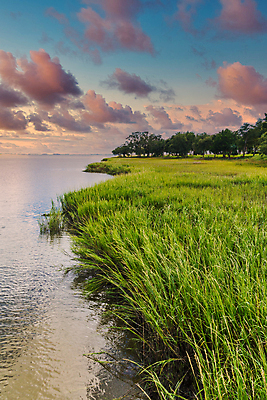 포토 JPG 해외이미지 나무 식물 공원 여행 자연 사람없음 야외 초록색 물 강 젖음 시골 황무지 습지 내추럴 변소 해외포토 자연요소 공공시설 컬러 생태계 파일형식 이미지허브