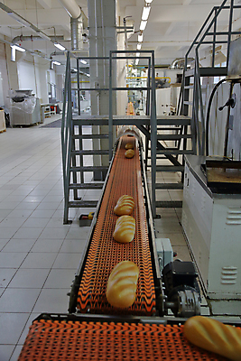 포토 JPG 해외이미지 빵 이동 공장 실내 사람없음 컨베어밸트 해외포토 음식 컨셉 공업 내부 기계 파일형식 이미지허브