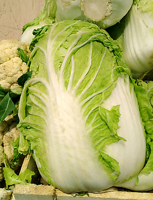 포토 JPG 해외이미지 음식 잎 농업 채소 재료 자연 탁자 건강 사람없음 초록색 머리 중국 샐러드 흰색 신선 유기농 양배추 날것 내추럴 해외포토 식물 웰빙 산업 아시아 컬러 가구 신체부위 생태계 파일형식 이미지허브