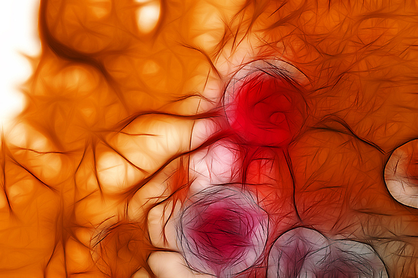포토 JPG 해외이미지 의학 세포 사람없음 3D 주황색 질병 디지털합성 암 종양 해외포토 컬러 파일형식 이미지허브
