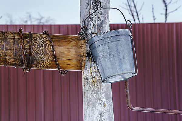 포토 JPG 해외이미지 나무 전통 음료 밧줄 여행 농업 사람없음 야외 목재 빨간색 물 울타리 농장 갈색 마을 정원 수확 골동품 시골 역사 갈증 양동이 철사 통조림 자작나무 펌프 도르래 옛날 해외포토 자연요소 식물 산업 줄 컬러 재료 담장 파일형식 이미지허브