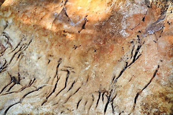 포토 JPG 해외이미지 백그라운드 패턴 자연 표면 추상 산 사람없음 야외 장식 힘 흙 공백 골동품 거친 균열 닫기 유기농 질감 고생물 내추럴 고체 골절 땅바닥 옛날 울퉁불퉁 지질학 흉터 효과 해외포토 웰빙 교육 무늬 의학 모션 생물 바닥 상처 생태계 파일형식 이미지허브