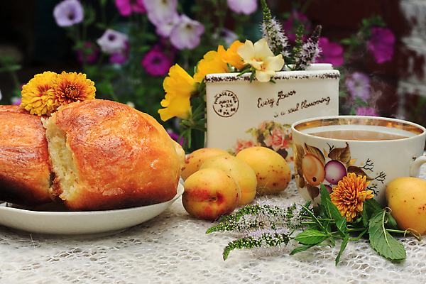 포토 JPG 해외이미지 디자인 꽃 음료 음식 잎 오렌지 탁자 사람없음 장식 컵 초록색 빛 컬러풀 갈색 노란색 침묵 수확 식탁보 흰색 나뭇가지 뜨거움 황금 수증기 민트 제비꽃 유기농 냅킨 부드러움 양모 번 보유 살구 옛날 페스츄리 레터링 피튜니아 해외포토 나무 식물 식기 웰빙 빵 컬러 가구 농업 과일 소리 직물 감각 허브 파일형식 이미지허브