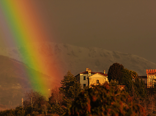 포토 JPG 해외이미지 나무 무지개 하늘 산 사람없음 빨간색 초록색 빛 컬러풀 태양 노란색 광선 그리기 분위기 제비꽃 언덕 아치 해외포토 자연요소 식물 꽃 컬러 컨셉 모션 파일형식 이미지허브