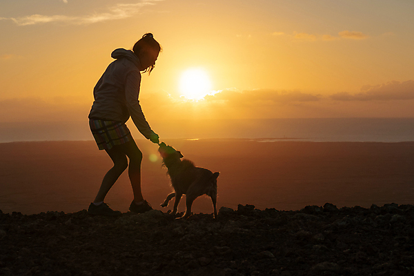 포토 JPG 해외이미지 라이프스타일 여자 남자 실루엣 스포츠 포즈 자연 하늘 한명 사람 야외 반려동물 햇빛 태양 일몰 개 강아지 해외포토 자연요소 동물 1 포유류 촬영기법 생활 노을 생태계 파일형식 이미지허브