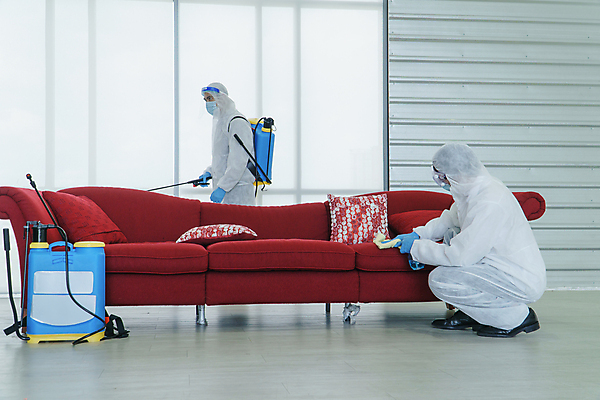 포토 JPG 해외이미지 직업 유니폼 태국 노동자 주택 가면 안전 사람 동양인 정장 두명 약 건강관리 업무 자신감 바이러스 보호 질병 위험 청소 서비스 예방 감염 분무기 청소부 박테리아 소독 전염병 제어 화학물질 화학약품 카피스페이스 해외포토 옷 감정 아시아 컨셉 의학 건강 관리 인종 건물 공백 작업 화학 물질 파일형식 이미지허브