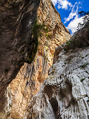 포토 JPG 해외이미지 주간 나무 식물 공원 여행 자연 안테나 이끼 풍경 사람없음 야외 목재 물 강 여행객 골짜기 맑음 이탈리아 폭포 산책로 하이킹 조약돌 개울 황무지 숲 태평양 암초 양치류 전국 해외포토 자연요소 공공시설 유럽 길 바다 재료 통신 레저 날씨 사람 돌_바위 생태계 파일형식 이미지허브