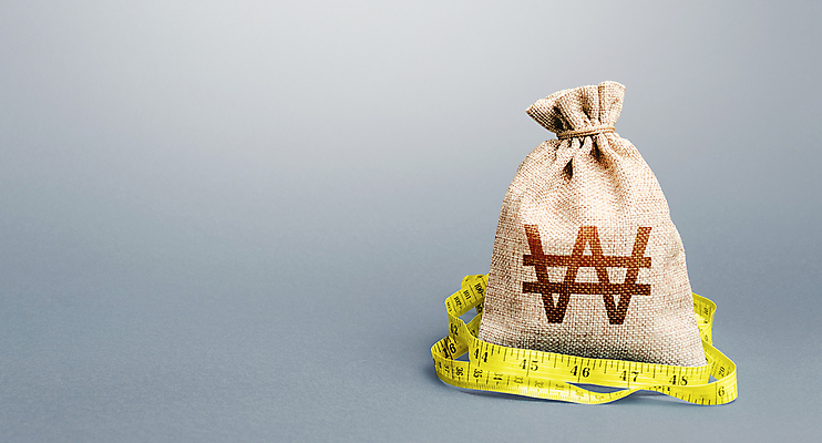 포토 JPG 해외이미지 컨셉 돈 회색배경 줄자 사람없음 금융 경제 원화 돈자루 재산 측정 수입 해외포토 백그라운드 자 회색 파일형식 이미지허브