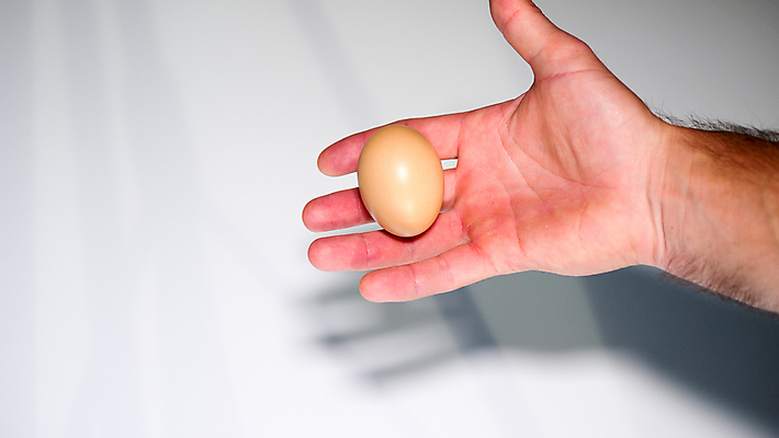 포토 JPG 해외이미지 모양 동물 음식 조각 백그라운드 곡선 다이어트 일러스트 재료 자연 조류 부활절 건강 병아리 3 요리 사람없음 목재 농장 갈색 노란색 주방 계란 식사 치킨 껍질 흰색 신선 그룹 볏짚 아침식사 상품 먹기 가득함 오브젝트 싱글 유기농 날것 머리위 노른자 밀짚 내추럴 고립 단백질 바이오 삶기 생식 암탉 해외포토 나무 웰빙 기념일 선 컬러 농업 모션 알 닭 짚 암컷 생태계 닭고기요리 영양소 파일형식 이미지허브