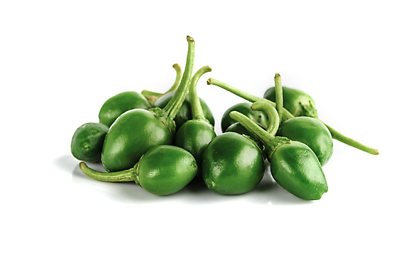 포토 JPG 해외이미지 잡화 줄기 채소 재료 자연 고추 불 파프리카 건강 사람없음 빨간색 초록색 농장 노란색 수확 성장 흰색 뜨거움 원형 체리 시장 닫기 달콤 상품 작음 큼 폭탄 인도인 향신료 싱글 유기농 매움 날것 후추 국산 칠레 보닛 고립 숙성 식용 온실 줄서기 할라피뇨 해외포토 자연요소 도형 외국인 식물 웰빙 컬러 농업 과일 모션 자동차 동양인 남아메리카 맛 크기 폭발물 생태계 향미료 파일형식 이미지허브