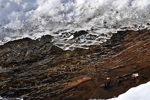 포토 JPG 해외이미지 사람없음 물 뷰티 얼음 봄 물방울 개울 해외포토 자연요소 계절 강 파일형식 이미지허브