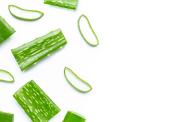 포토 JPG 해외이미지 스튜디오촬영 단면 실내 사람없음 하이앵글 뷰티 흰배경 알로에 해외포토 식물 뷰포인트 백그라운드 내부 흰색 파일형식 이미지허브