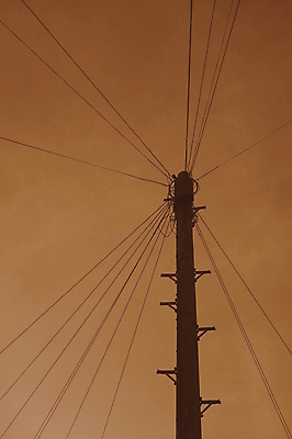 포토 JPG 해외이미지 실루엣 선 통신 사람없음 목재 스마트폰 갈색 힘 에너지 전선 네트워크 연결 전화기 오르기 전염 철사 부름 봉 소통 전압 공급 해외포토 나무 컬러 컨셉 재료 모션 촬영기법 핸드폰 스마트기기 질병 감염 파일형식 이미지허브