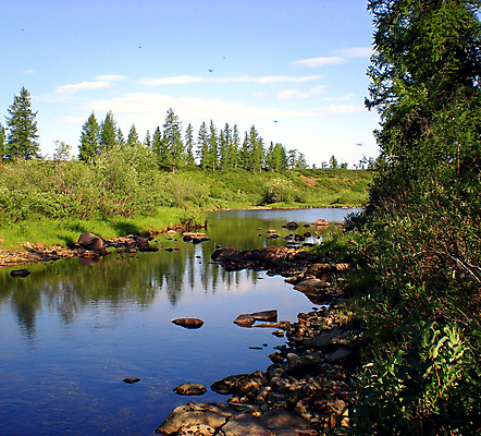 포토 JPG 해외이미지 계절 유럽 야생동물 여행 자연 사람없음 야외 물 강 골짜기 계곡 흐름 중앙 헬리콥터 숲 북극 러시아 지형 암초 북쪽 내추럴 시베리아 수평선 해외포토 자연요소 동물 나라 컨셉 비행기 극지방 방향 생태계 파일형식 이미지허브