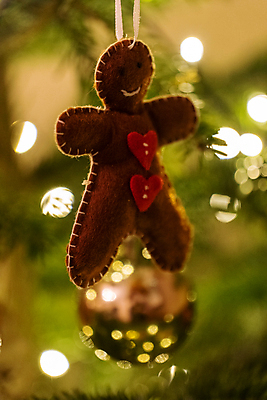 포토 JPG 해외이미지 나무 전통 계절 행복 별 종교 크리스마스 겨울 가족 휴가 전등 주택 매달리기 선물 사랑 소년 사람없음 장식 산타클로스 갈색 축제 화환 장식볼 흰색 나뭇가지 시골 소나무 예수 니트 주기 노엘 핸드메이드 클라우스 해외포토 자연요소 식물 기념일 남자 꽃 감정 어린이 컬러 상의 관계 모션 조명 건물 신_종교 파일형식 이미지허브