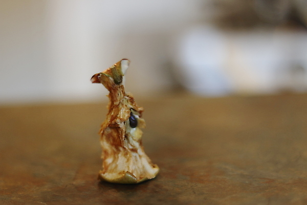 포토 JPG 해외이미지 스튜디오촬영 계절 음식 줄기 과일 휴식 건강 씨앗 사람없음 빨간색 축제 주스 에너지 흰색 센터 끝 사과 자르기 왼쪽 피부 흰배경 슛 담배꽁초 칼로리 건강식 토막 고립 넘어짐 벌거벗은 썩음 핵심 해외포토 식물 음료 컬러 백그라운드 컨셉 모션 담배 실내 신체부위 방향 파일형식 이미지허브