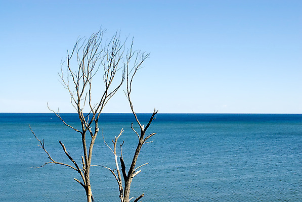포토 JPG 해외이미지 나무 식물 호수 바다 줄기 자연 하늘 건조 항해 풍경 사람없음 야외 목재 물 파란색 갈색 환경 회색 나뭇가지 죽음 연못 고독 내추럴 생태학 옛날 수평선 해외포토 자연요소 교육 감정 컬러 배_교통 재료 생태계 파일형식 이미지허브
