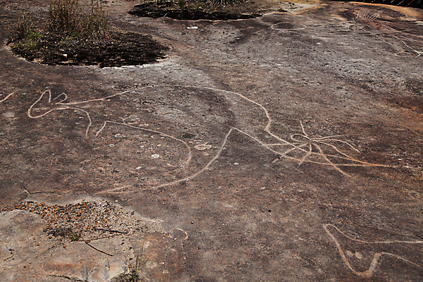 포토 JPG 해외이미지 디자인 종이 벽 백그라운드 패턴 자연 벽지 표면 추상 사람없음 갈색 검은색 페인트 회색 바위 흰색 거친 질감 시멘트 거미 캥거루 그런지 옛날 해외포토 컬러 곤충 무늬 포유류 돌_바위 생태계 파일형식 이미지허브