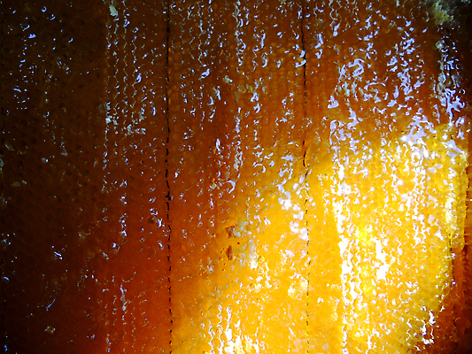 포토 JPG 해외이미지 동물 음식 곤충 백그라운드 패턴 오렌지 자연 세포 건강 사람없음 야외 약 농장 노란색 시골 신선 머리빗 황금 달콤 맛 꿀벌 배열 묘사 질감 꽃가루 육각형 꿀 벌집 내추럴 고립 밀랍 양봉 양봉장 왁스 폴리곤 해외포토 도형 컬러 컨셉 무늬 농업 과일 의학 미용용품 벌_곤충 가루 생태계 파일형식 이미지허브