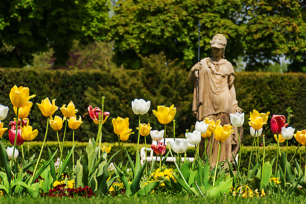 포토 JPG 해외이미지 나무 꽃 사람없음 조각상 튤립 화단 슬로바키아 해외포토 식물 유럽 조형물 파일형식 이미지허브