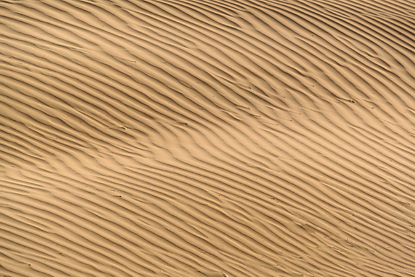 포토 JPG 해외이미지 모래 파도 여행 백그라운드 오렌지 자연 하늘 건조 이집트 풍경 사람없음 야외 여름 모래사장 태양 뷰티 노란색 일출 일몰 사막 흰색 뜨거움 모래언덕 언덕 질감 아라비아 사하라 내추럴 아랍에미리트 두바이 해외포토 자연요소 계절 바다 컬러 과일 중동 아프리카 노을 생태계 파일형식 이미지허브