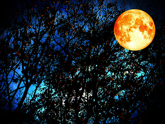 포토 JPG 해외이미지 계절 실루엣 바다 과학 백그라운드 자연 하늘 추상 그림자 사람없음 빨간색 물 파란색 빛 태양 우주 검은색 어둠 일몰 새벽 행성 보름달 달 흰색 원형 야간 저녁 숲 신비 달빛 가득함 분화구 천문학 궤도 내추럴 여의주 해외포토 자연요소 도형 교육 컬러 컨셉 무늬 촬영기법 노을 생태계 화산 파일형식 이미지허브