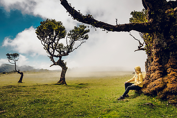 포토 JPG 해외이미지 나무 라이프스타일 공원 행복 여행 컨셉 밭 자연 휴가 휴식 한명 사람 야외 노란색 걷기 환경 힘 하이킹 추위 자유 탐험 시골 보호 숲 연결 신비 언덕 명상 마법 발견 뿌연 생태학 혼자 미니멀리스트 해외포토 식물 1 공공시설 교육 감정 컬러 농업 모션 레저 생활 생태계 파일형식 이미지허브