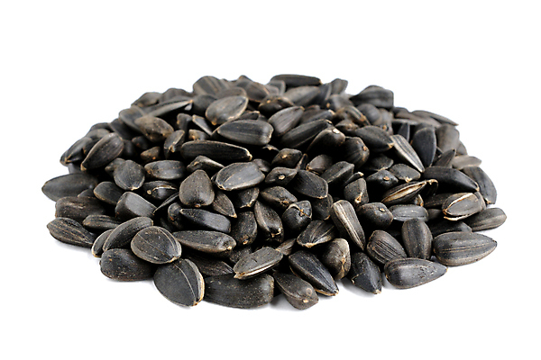 포토 JPG 해외이미지 음식 농업 재료 해바라기 건강 씨앗 사람없음 쌓기 검은색 껍질 흰색 그룹 작음 낟알 유기농 날것 흙더미 내추럴 고립 채식주의자 해외포토 식물 웰빙 꽃 산업 컬러 모션 흙 크기 채식 파일형식 더미 이미지허브