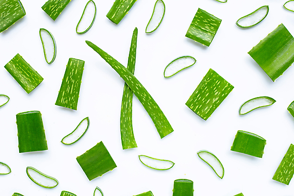 포토 JPG 해외이미지 스튜디오촬영 단면 실내 사람없음 하이앵글 뷰티 흰배경 알로에 플랫레이 해외포토 식물 뷰포인트 백그라운드 내부 흰색 플랫 파일형식 이미지허브