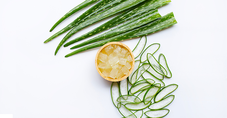 포토 JPG 해외이미지 스튜디오촬영 단면 실내 사람없음 하이앵글 뷰티 흰배경 알로에 해외포토 식물 뷰포인트 백그라운드 내부 흰색 파일형식 이미지허브